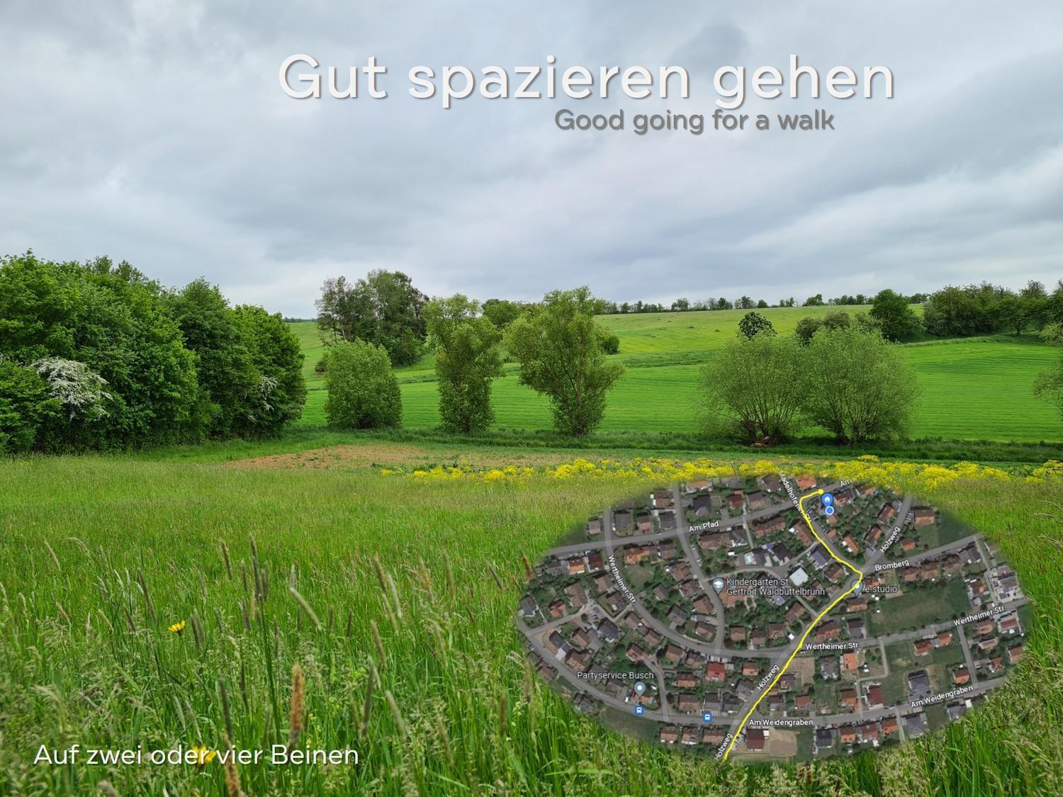 Lichtdurchflutetes Zimmer - Marienberg Waldbuttelbrunn エクステリア 写真